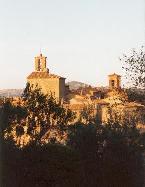 Panicale fra gli Olivi